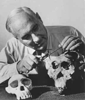 Louis Leakey (1903–72)