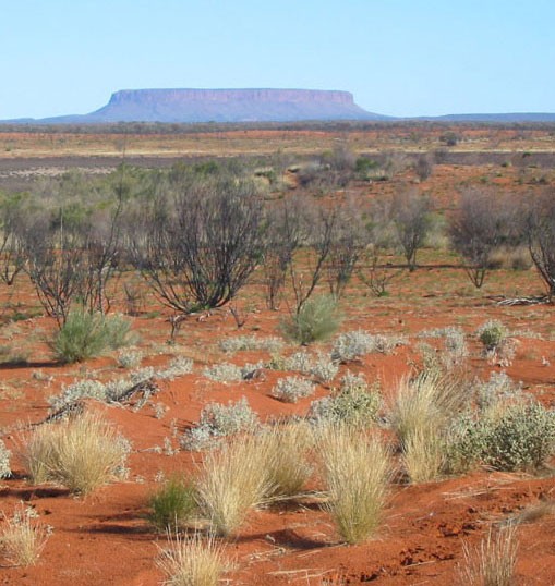 Outback scenery