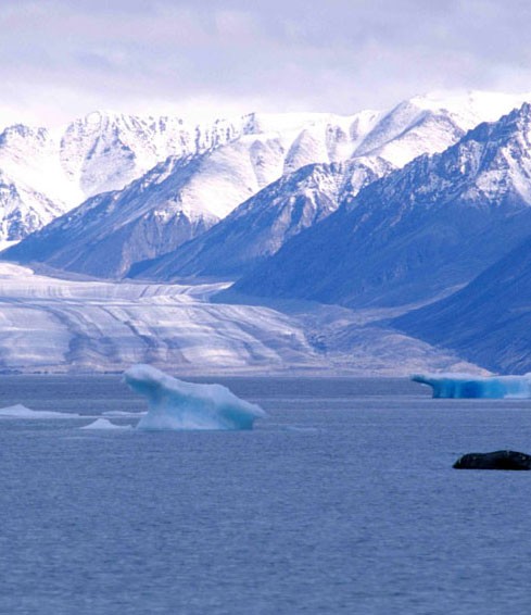 Kaparoqtalik Glacier, Baffin Island