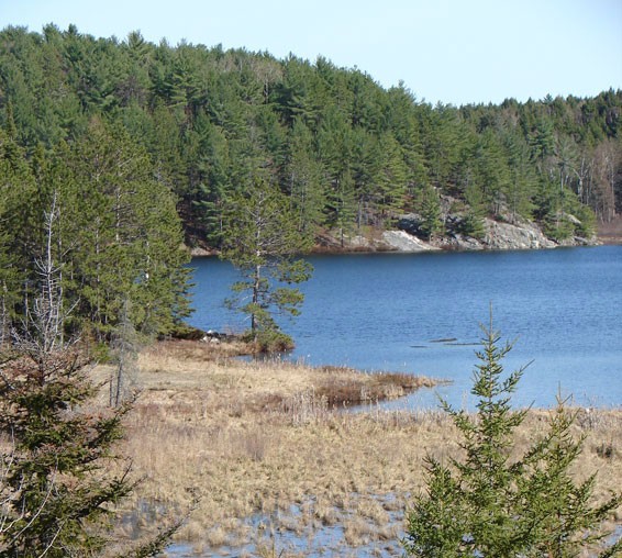Canadian Shield, Ontario