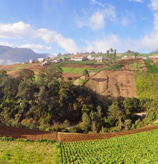 A farm in Quetzaltenango