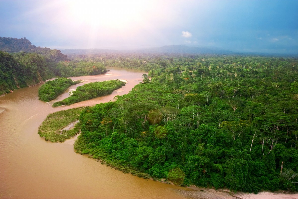 Rainforest around the Rio Napo