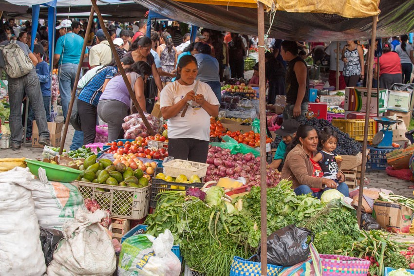 Food market, Zamora