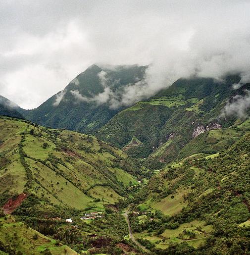 Cloud forest near Mindo, close to Los Cedros
