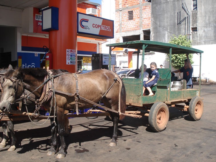 Mennonite children, San Ignacio