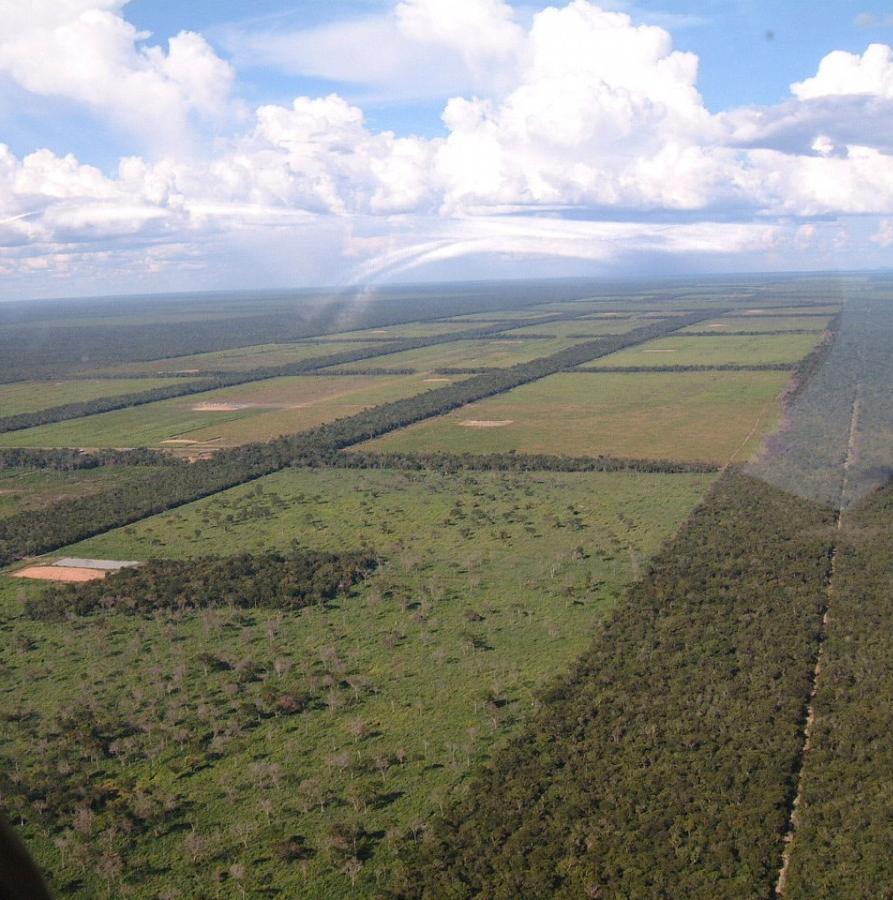 Areas of Chaco forest cleared for farmland