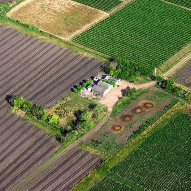 Aerial view of farm