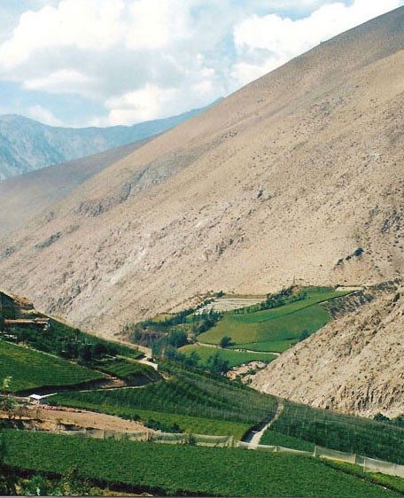 Farming in the irrigated Elqui Valley, Atacama Desert