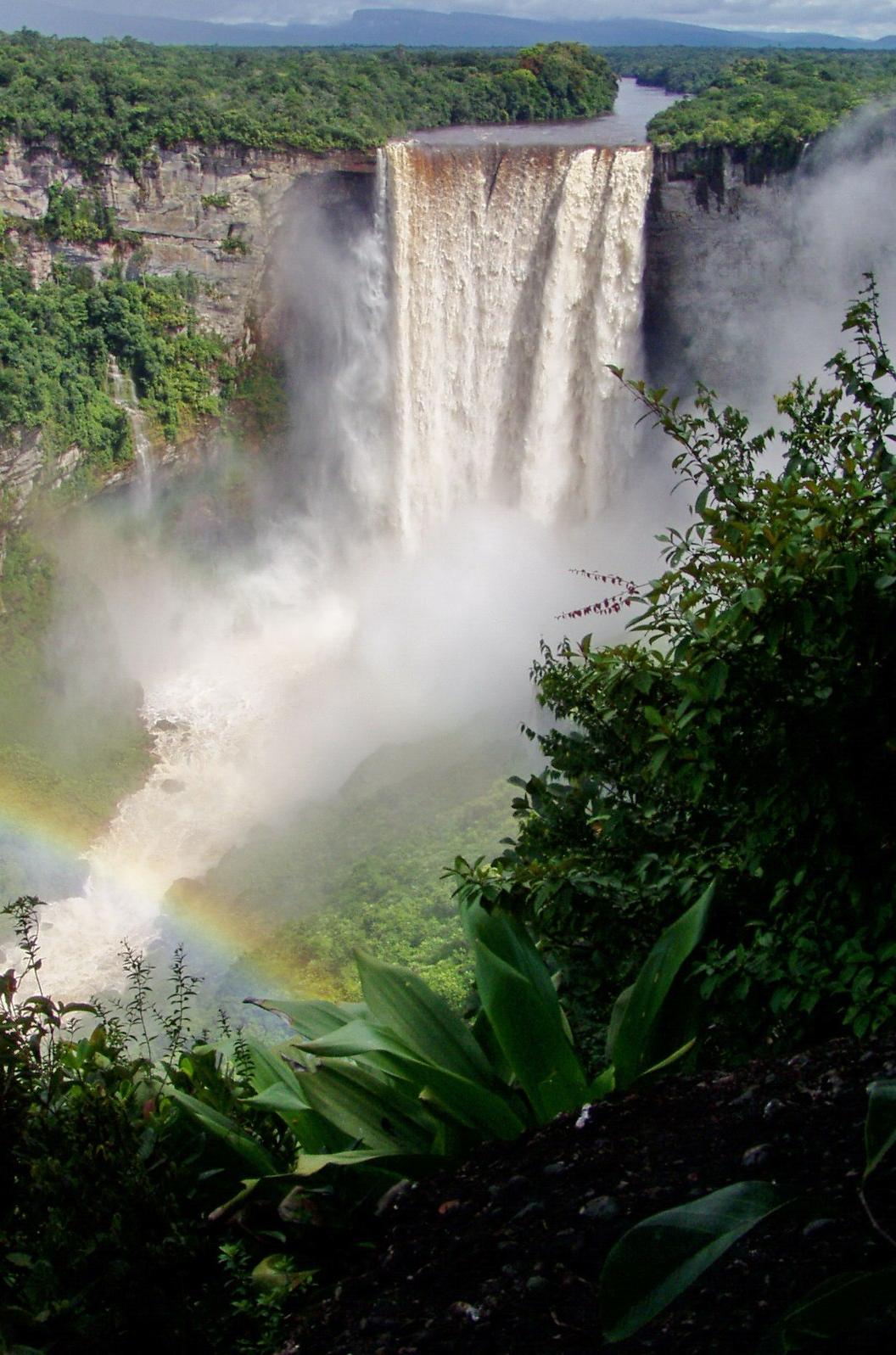 Kaieteur Falls in the Amazon rainforest of Guyana