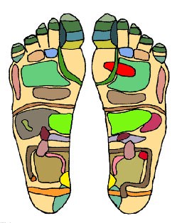 Reflexology foot chart
