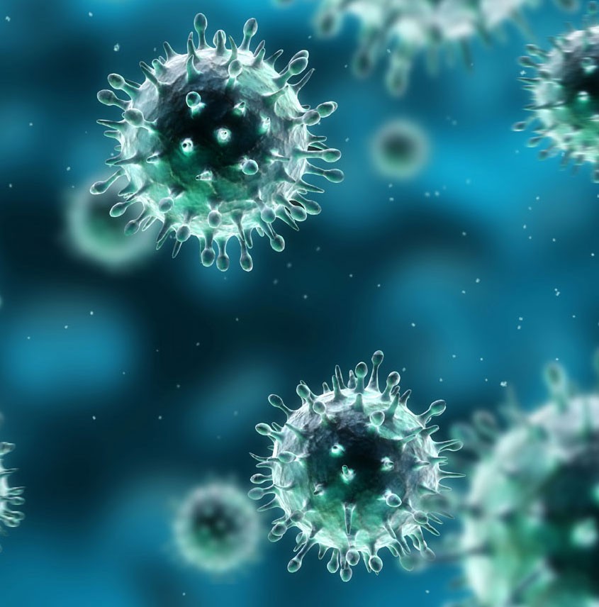 Influenzavirus