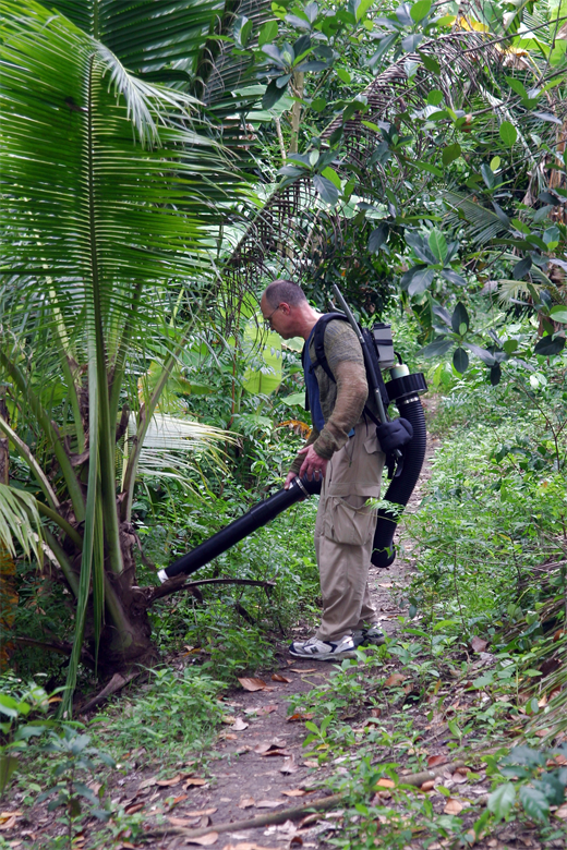 Collecting mosquitoes to test for the dengue virus