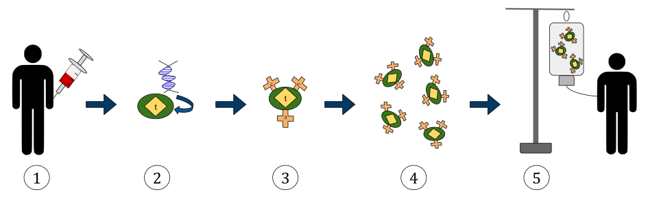 Diagram showing the process of CAR T-cell therapy