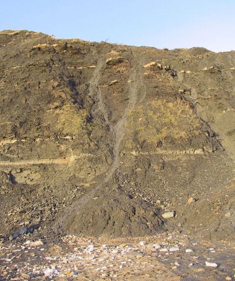 Mudflow, Black Ven, near Lyme regis, Dorset