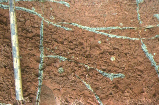 Mudstone