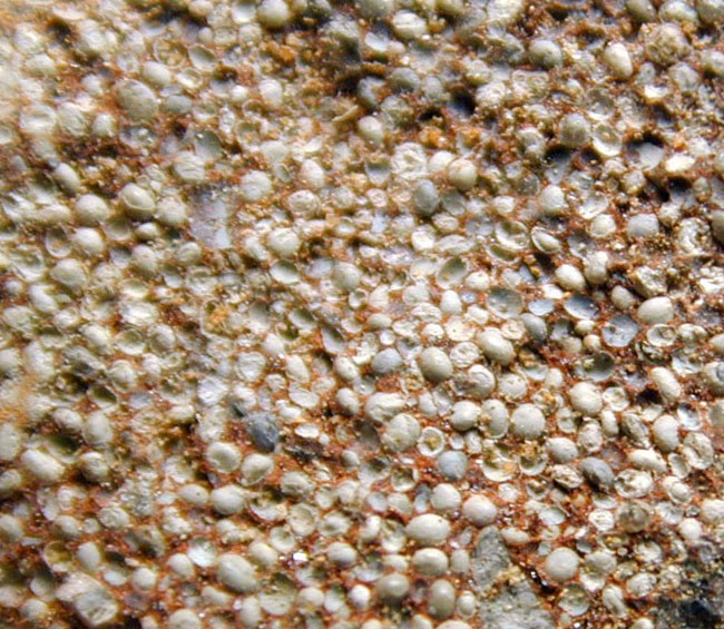 Oolitic ironstone