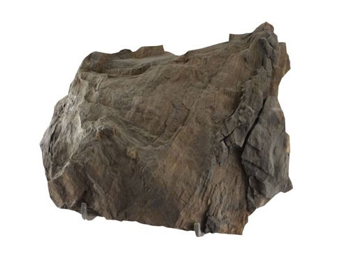 Lignite