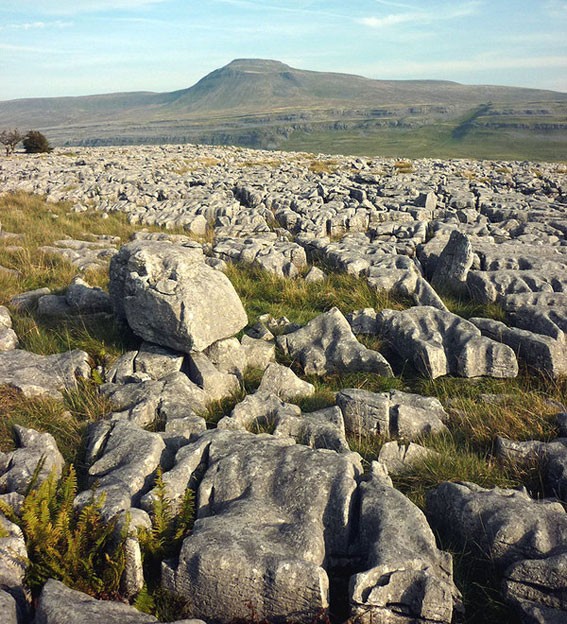 Limestone