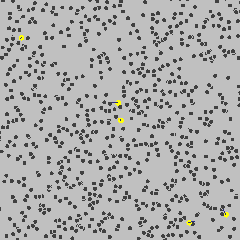 Brownian motion of five yellow particles