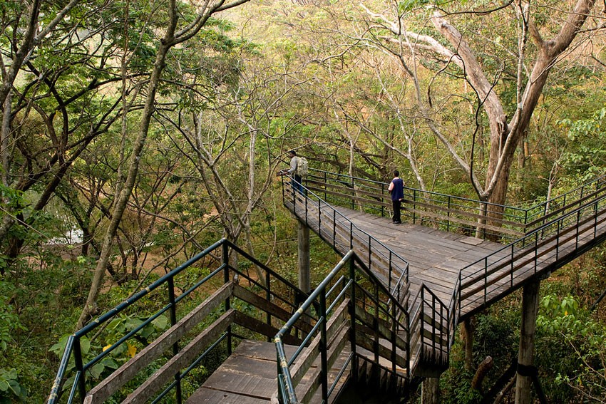 Thenmala ecotourism bridge, Kerala, India