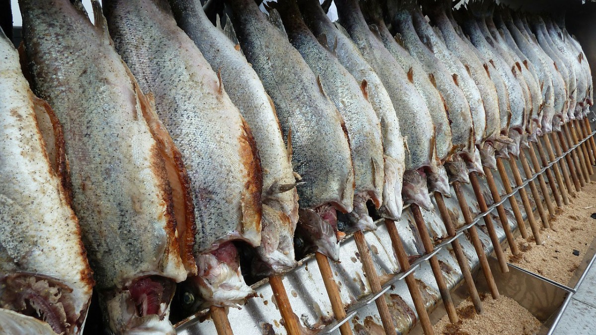 Cod being smoked