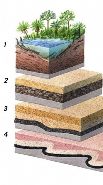 Coal takes several million years to form