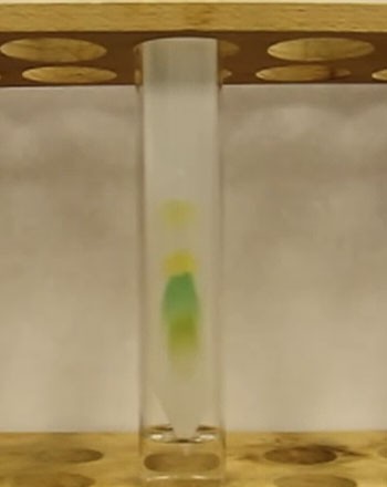 Paper chromatography in action