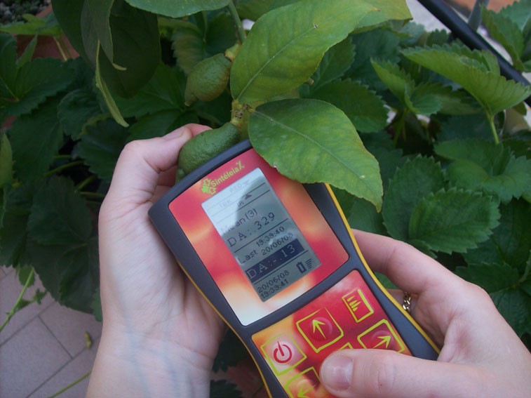 Infrared spectroscopy on ripening fruit