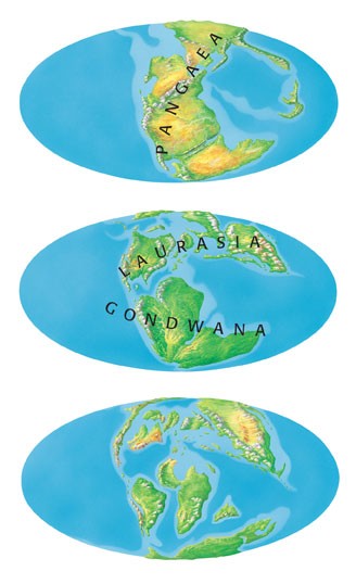 The break-up of Pangaea