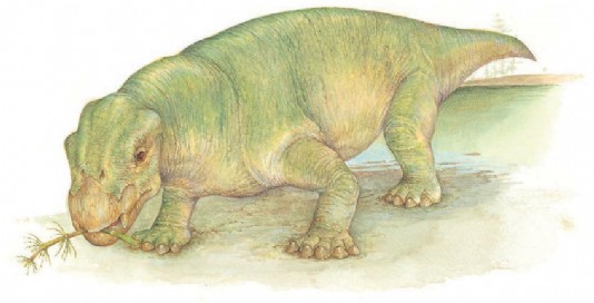 Lystrosaurus