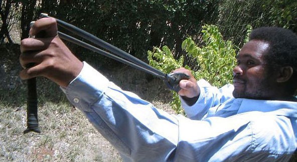 A catapult, using a rubber inner tube from a bicycle