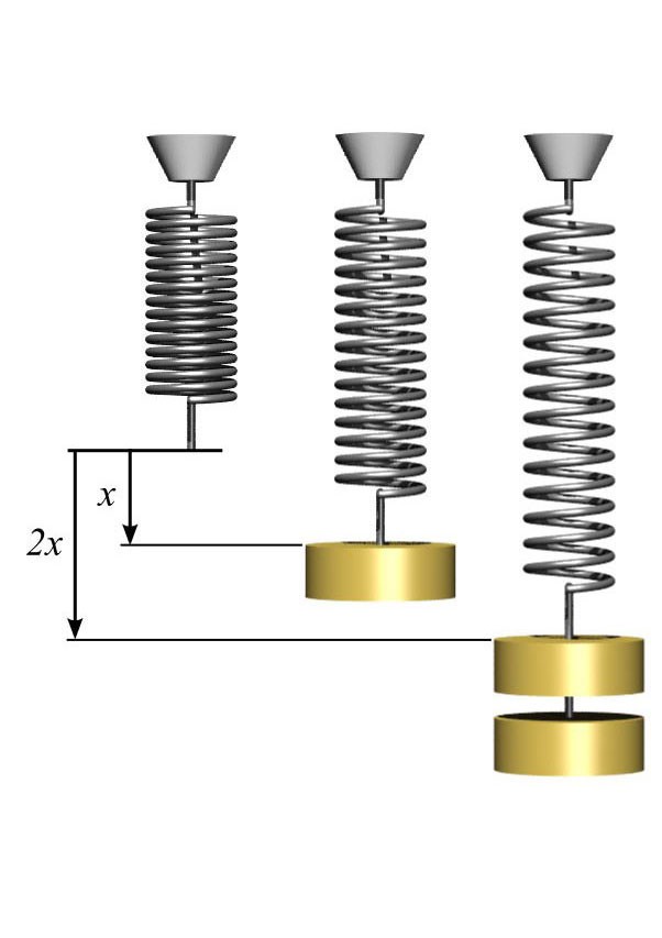 A diagram illustrating Hooke's Law