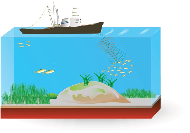 How sonar works