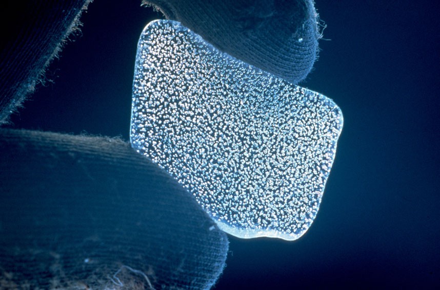 Bubbles in a sample of Antarctic ice
