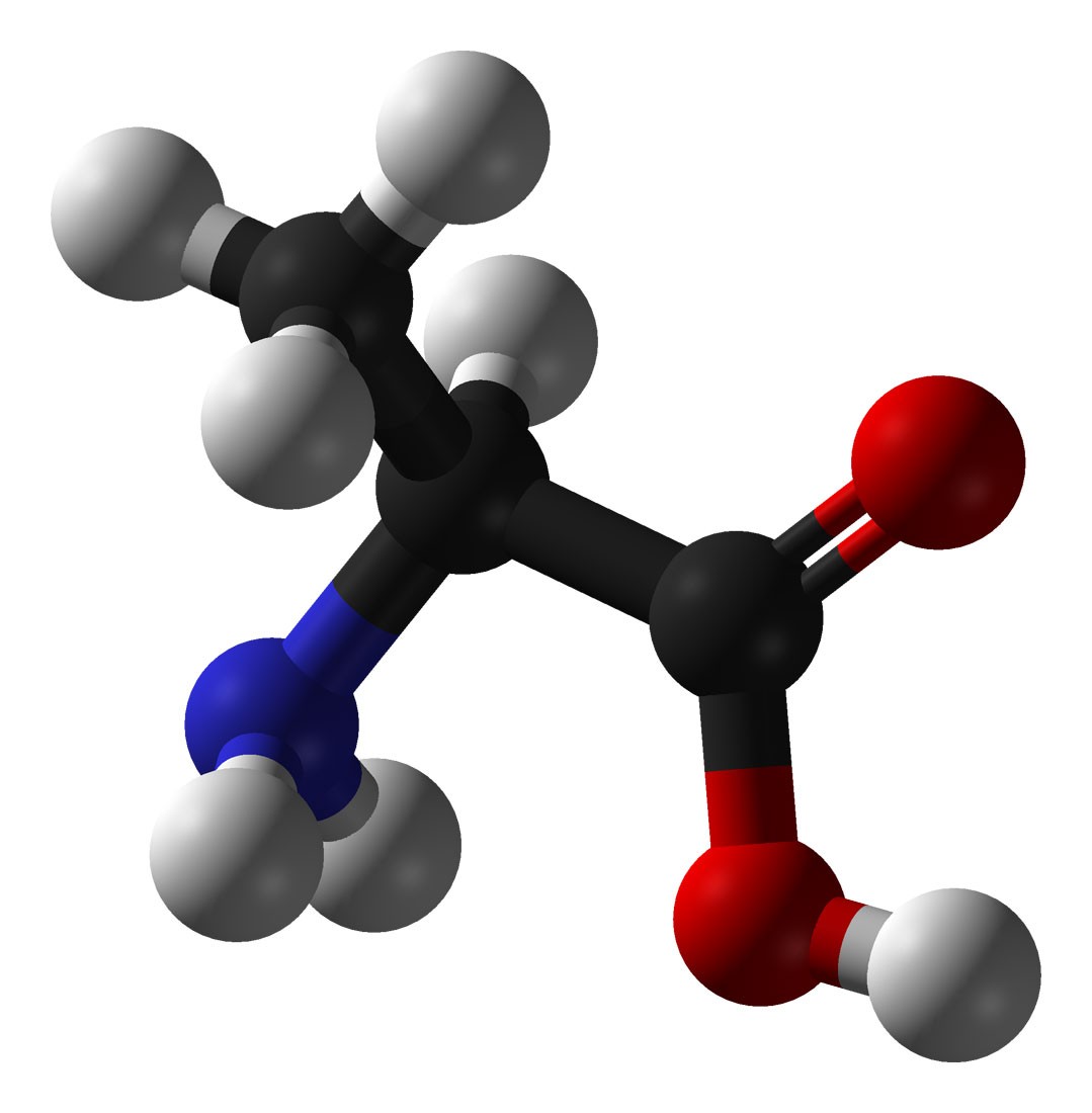 Structure of the amino acid alanine