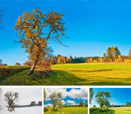 The same scene in different seasons