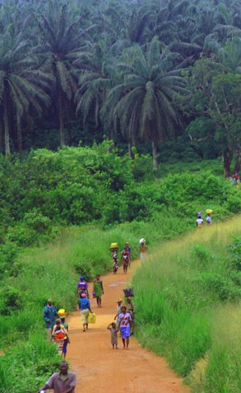 The road from Kenema to Kailahun