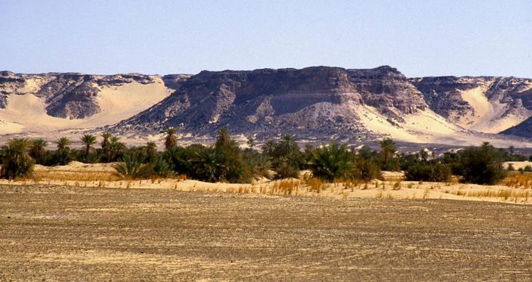 Oasis in the Ténéré desert