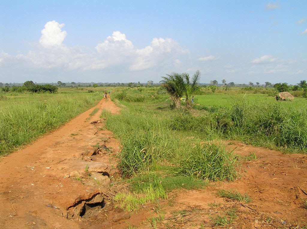 Rural landscape, Togo