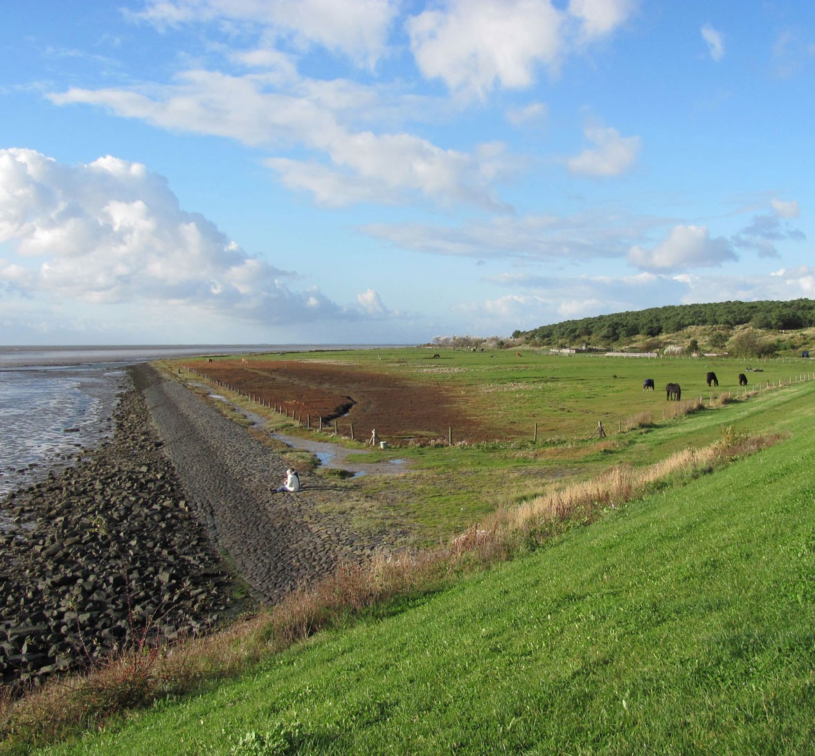 The Frisian island of Oost-Vlieland
