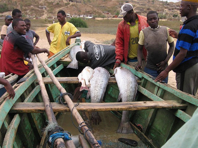 Angolan fishermen with their catch