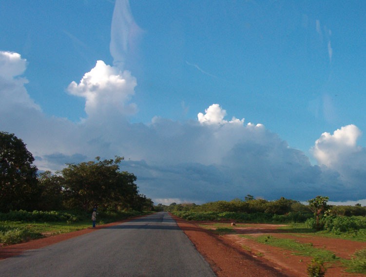A road through the savanna