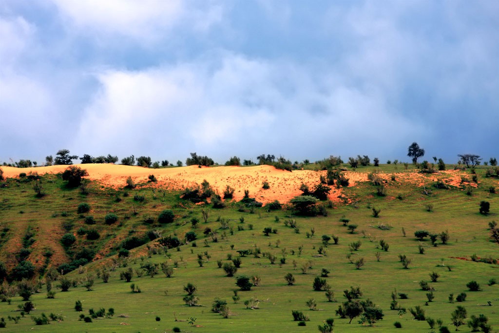 Mauritanian landscape in the rainy season