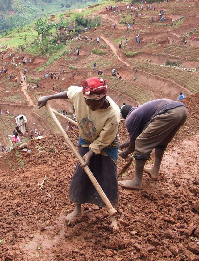 Rwandans building terraces to prevent soil erosion