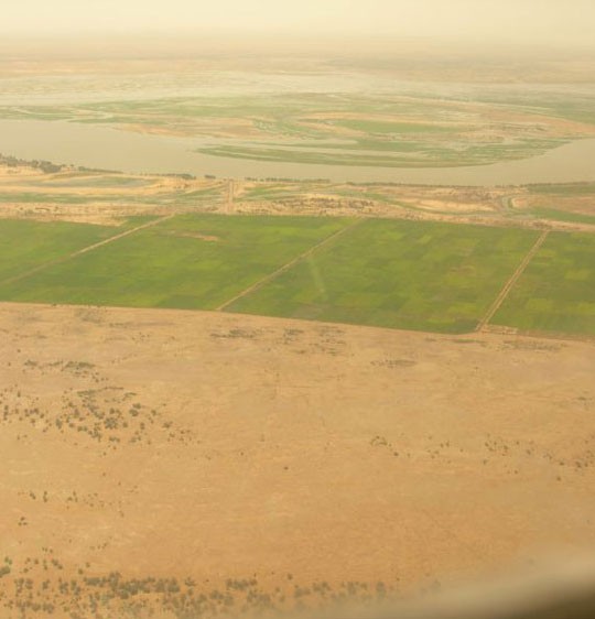 Cropfields near the River Niger
