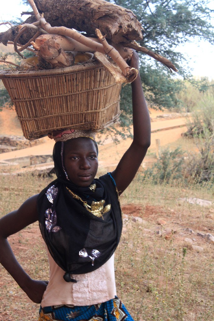 Carrying firewood, Bandiagara