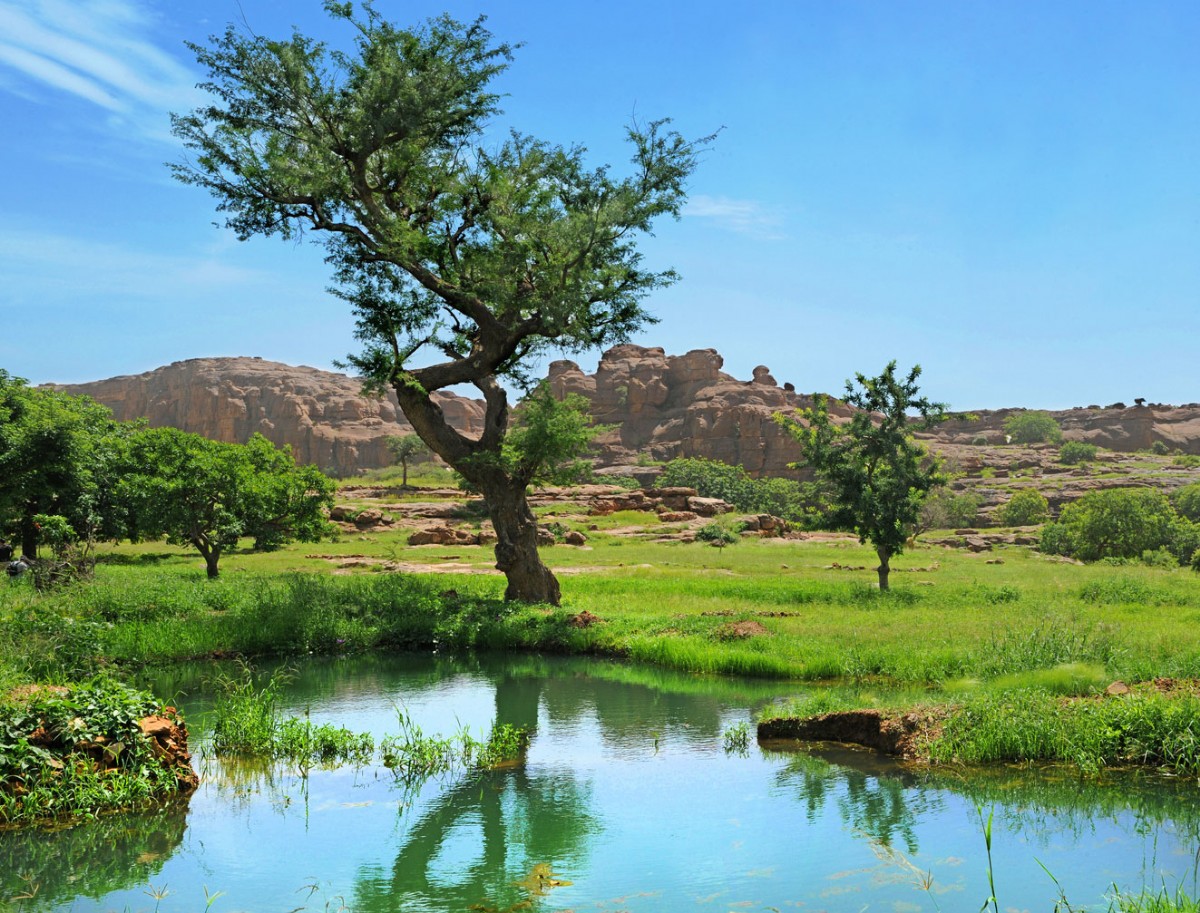 Lush scenery in southern Mali