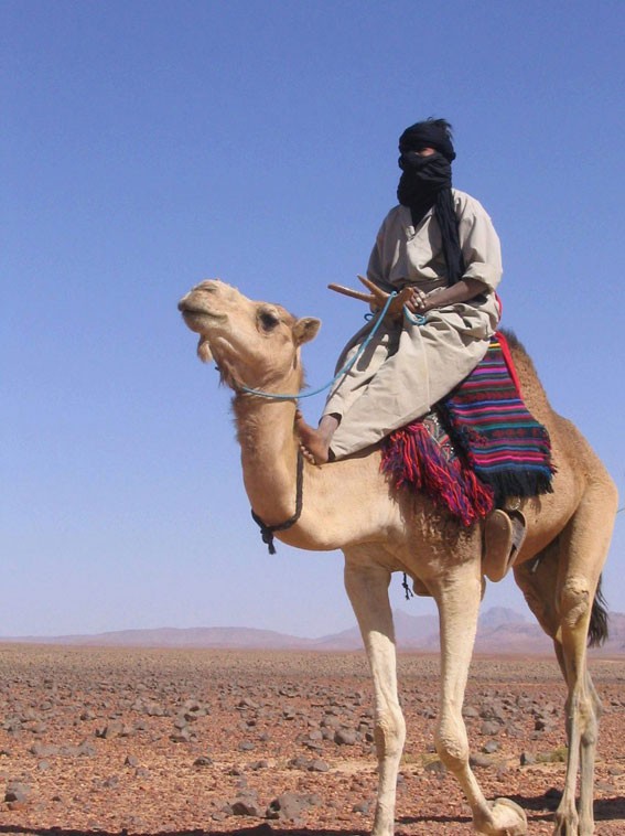 Tuareg man