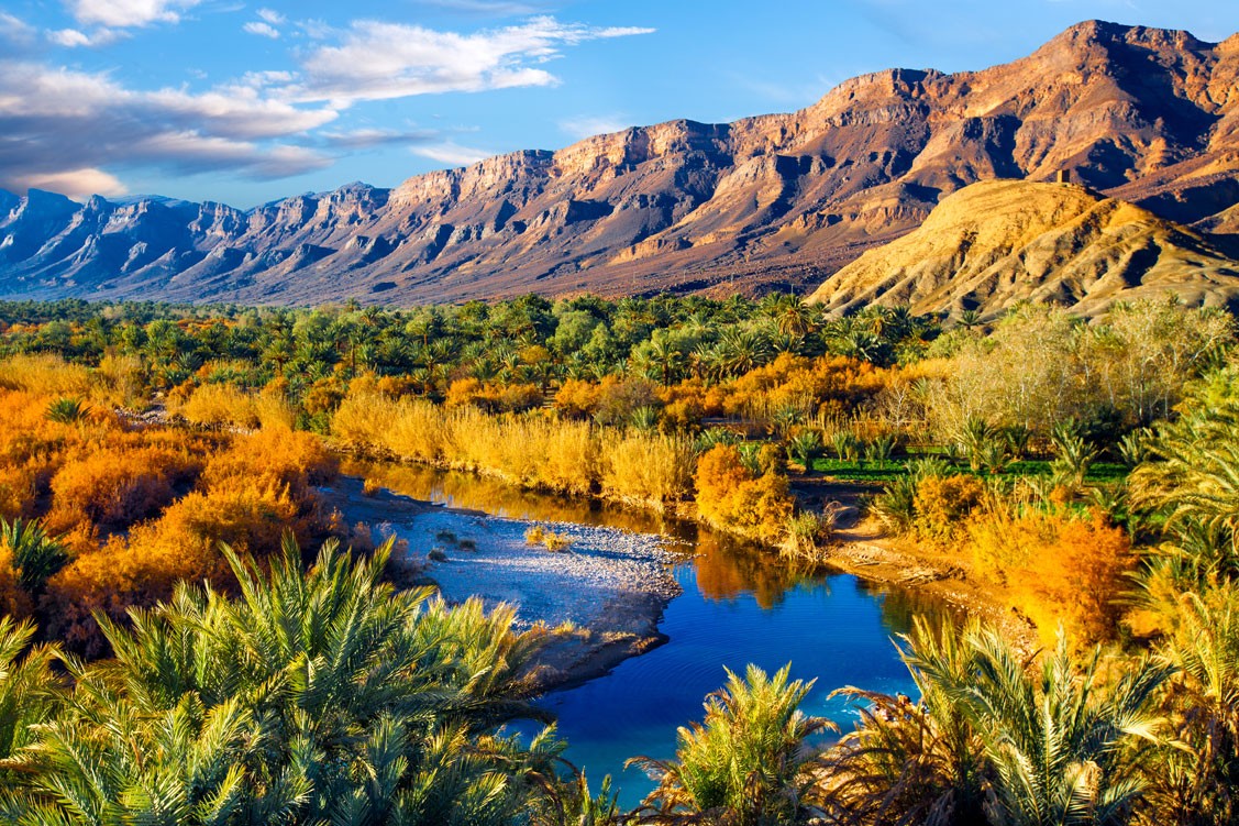 Oasis in the Moroccan desert