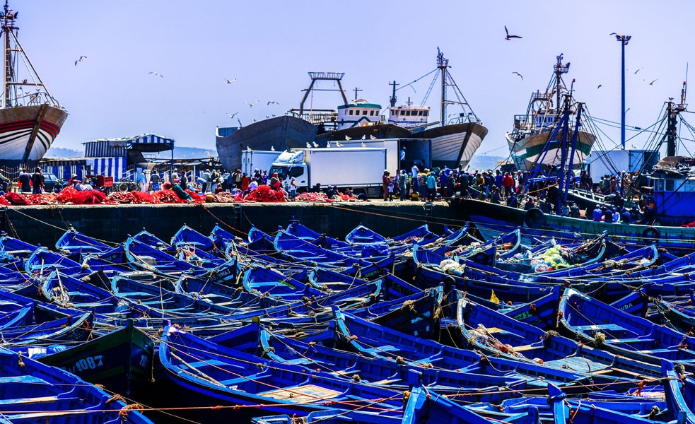 Fishing boats moored at Essaouira